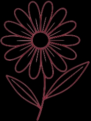 Arnika